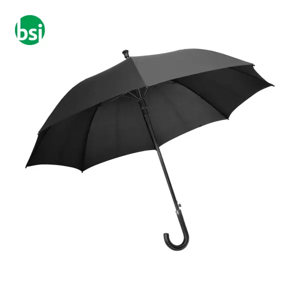 Pongee Charles Dickens umbrella Annabella -  1