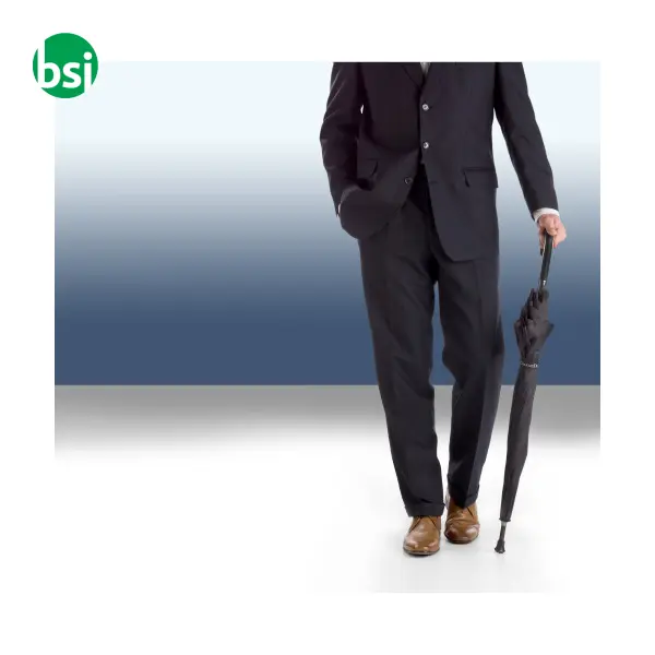 Pongee Charles Dickens umbrella Annabella -  5