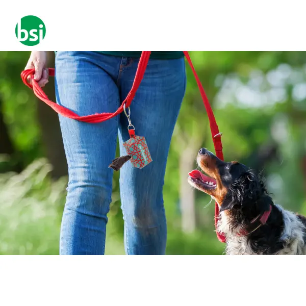 Custom Rpet Dog Waste Bag Dispenser - Pavesave -  6