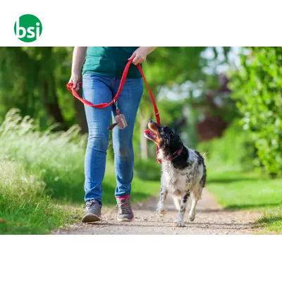 Custom Rpet Dog Waste Bag Dispenser - Pavesave - Immagine 7
