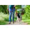 Custom Rpet Dog Waste Bag Dispenser - Pavesave - Anteprima 7