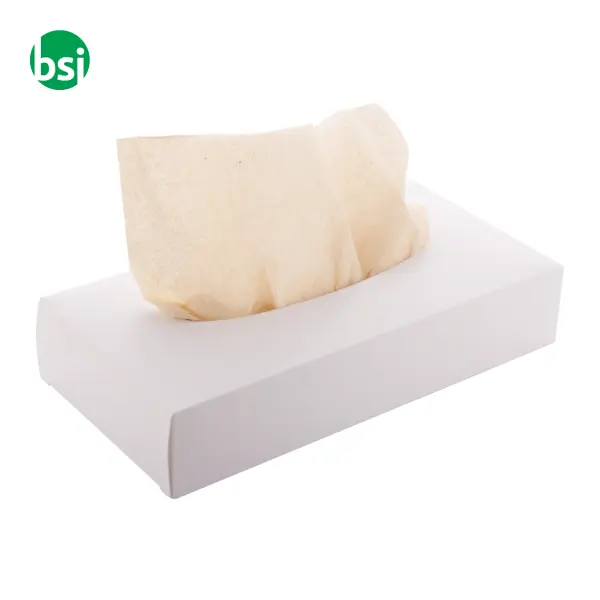 Custom paper tissues CREASNEEZE -  2