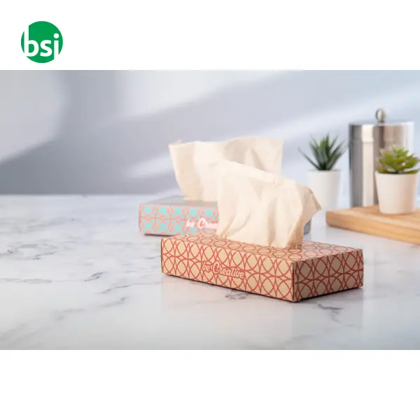 Custom paper tissues CREASNEEZE ECO -  9