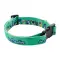 Custom dog collar ZIGGY - Anteprima 5