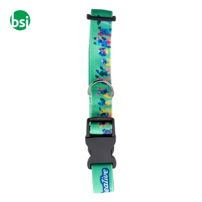 Custom dog collar ZIGGY - Immagine 3