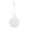 Seed paper Christmar tree ornament round CREAJUL SEED - Anteprima 3