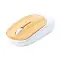 Optical mouse  SIKKIM - Anteprima 1