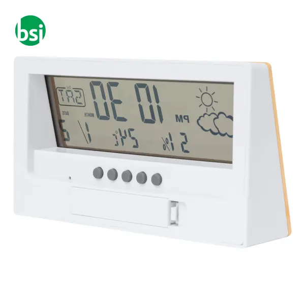 Weather station ZEPRA -  3