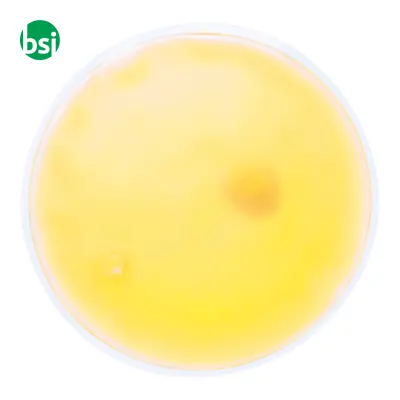 Heat pack RELIEF - Immagine 11