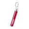 Flashlight LIMEX - Anteprima 18