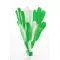 Rpp clapper CLAPPY - Anteprima 11