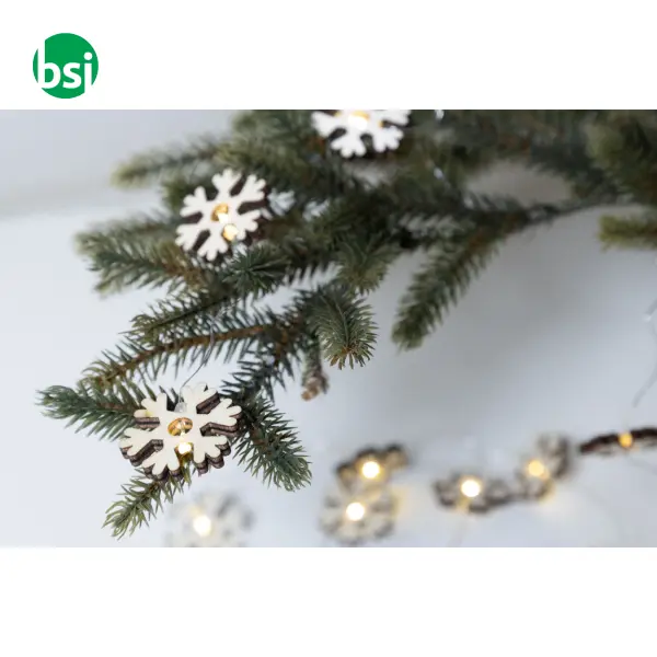 Christmas light string POLARIS -  6