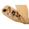 Wine set CORTESE - Anteprima 8