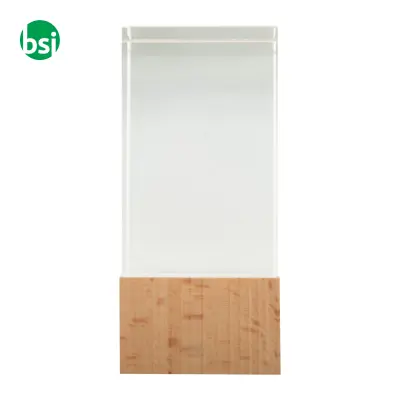 Trophy POLOFI - Immagine 3