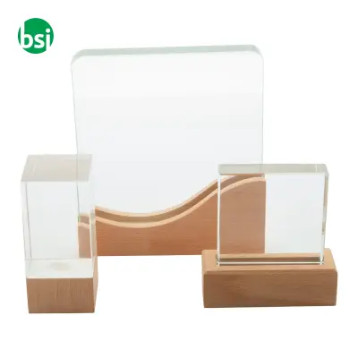 Trophy RECTOFI - Immagine 5