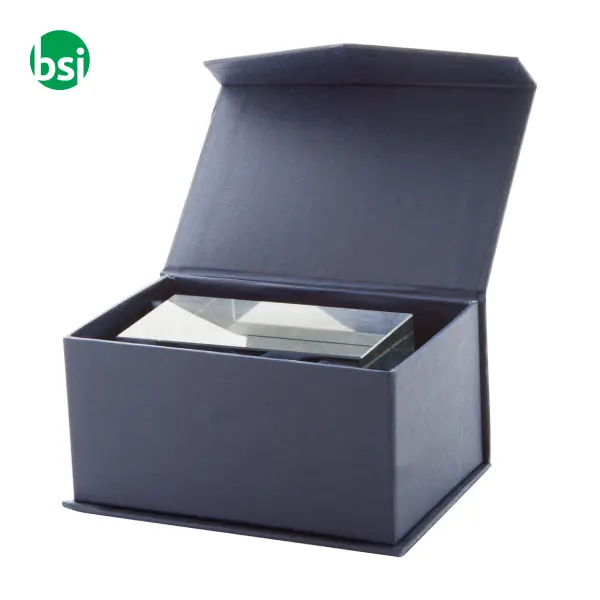 Glass Block - Macon -  2