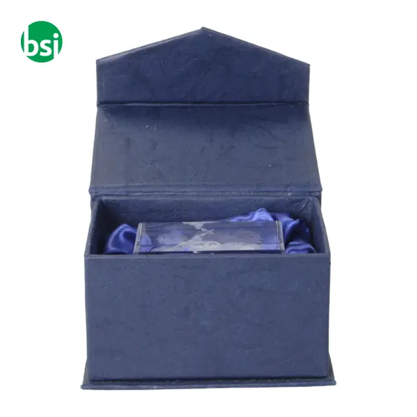 Glass Block - Macon -  3