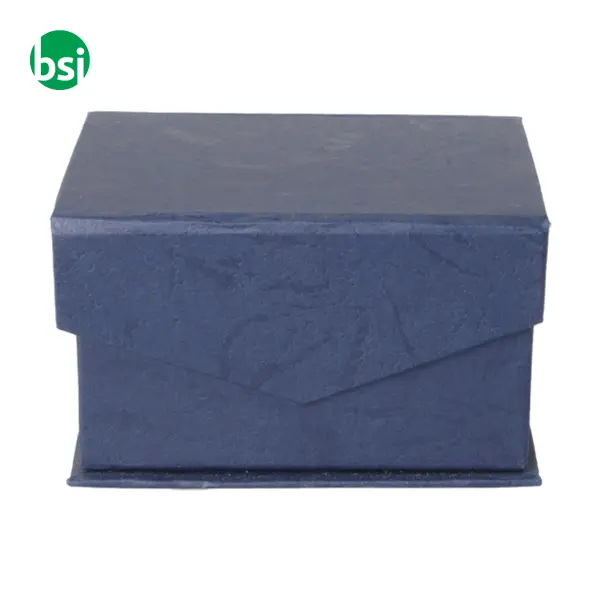 Glass Block - Macon -  4