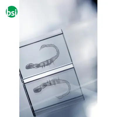 Glass Block - Macon - Immagine 9