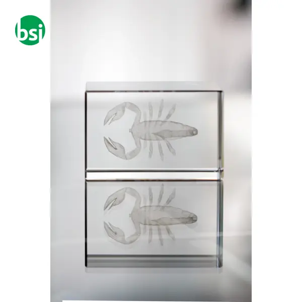 Glass Block - Macon -  10