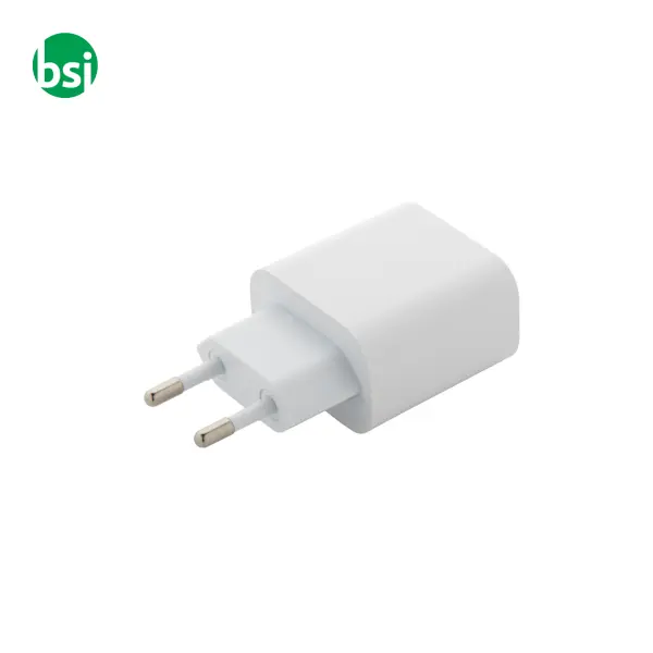 Rabs USB wall charger RECHARGE -  2