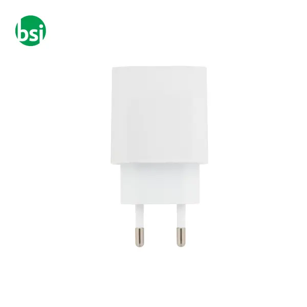 Rabs USB wall charger RECHARGE -  5