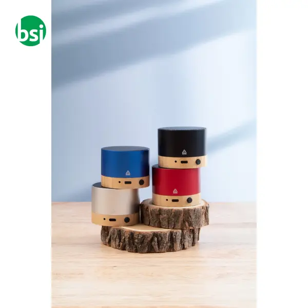 Bluetooth speaker RALOOBEAT -  6