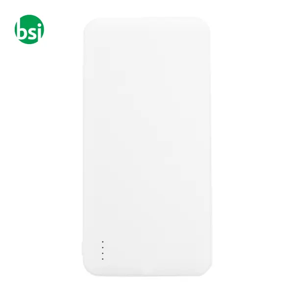 Rabs power bank RABOBANK XL -  2