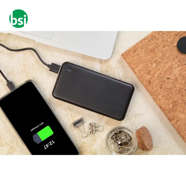 Rabs power bank RABOBANK XL -  9
