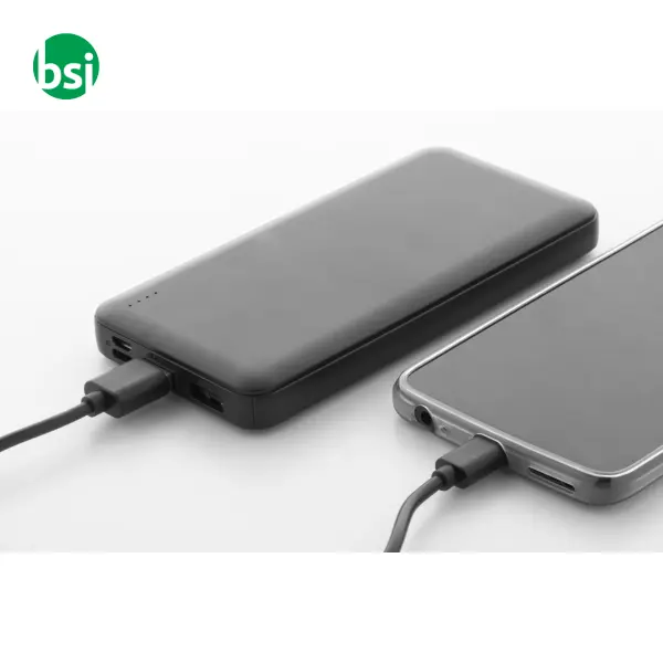 Rabs power bank RABOBANK XL -  10