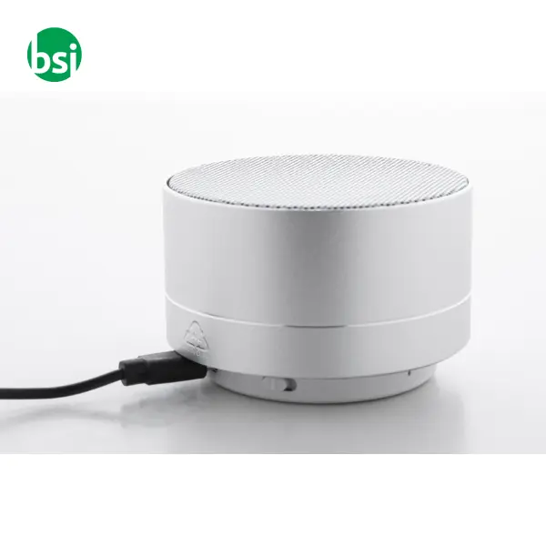 Wireless speaker RAMESH -  11