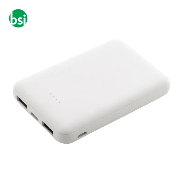 Rabs power bank RABOBANK SLIM -  12