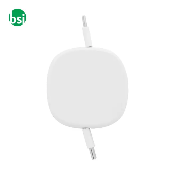 60W RABS USB-C charger cable CABSLE -  3