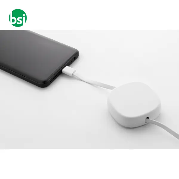 60W RABS USB-C charger cable CABSLE -  6