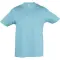 Printed logo kids' T-shirt REGENT Sol's - Anteprima 3
