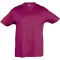 Printed logo kids' T-shirt REGENT Sol's - Anteprima 11