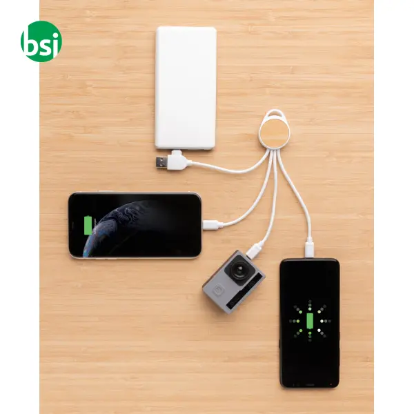 RCS recycled plastic Ontario 6-in-1 round cable -  9