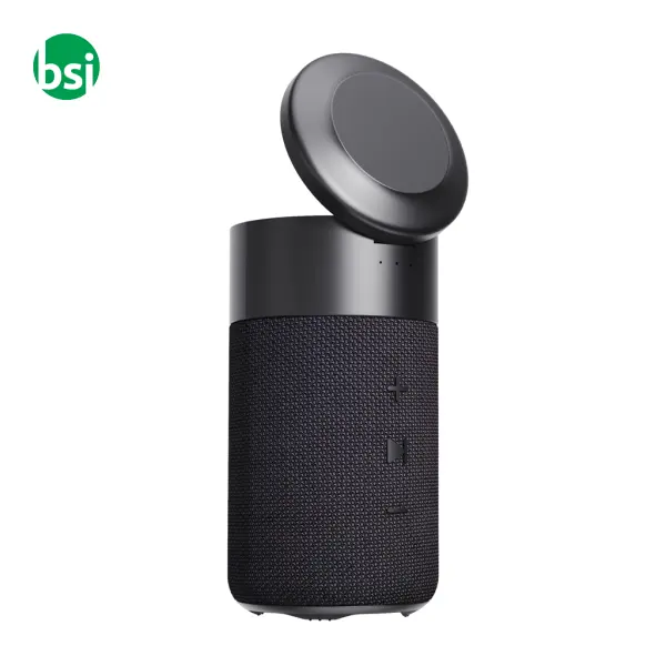 Urban Vitamin Anaheim RCS recycled 10W speaker 15W -  4