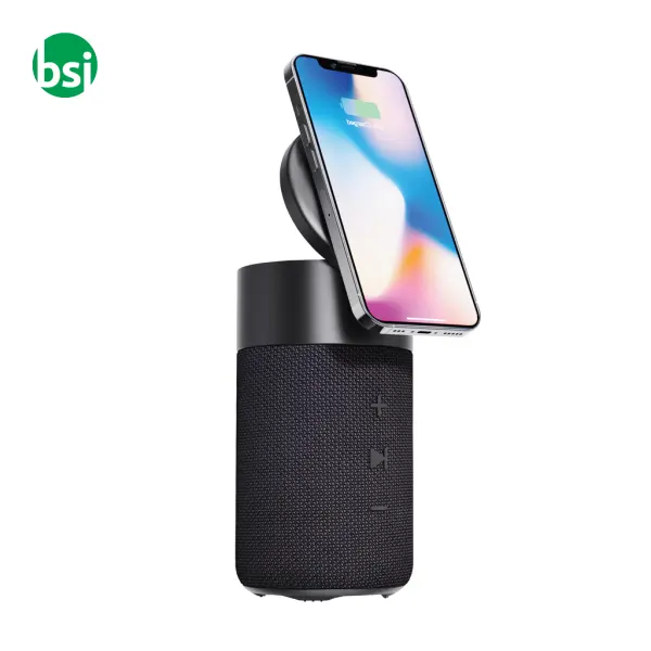 Urban Vitamin Anaheim RCS recycled 10W speaker 15W -  5