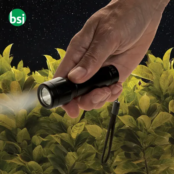 Flara RCS USB Rechargeable LED Torch -  8