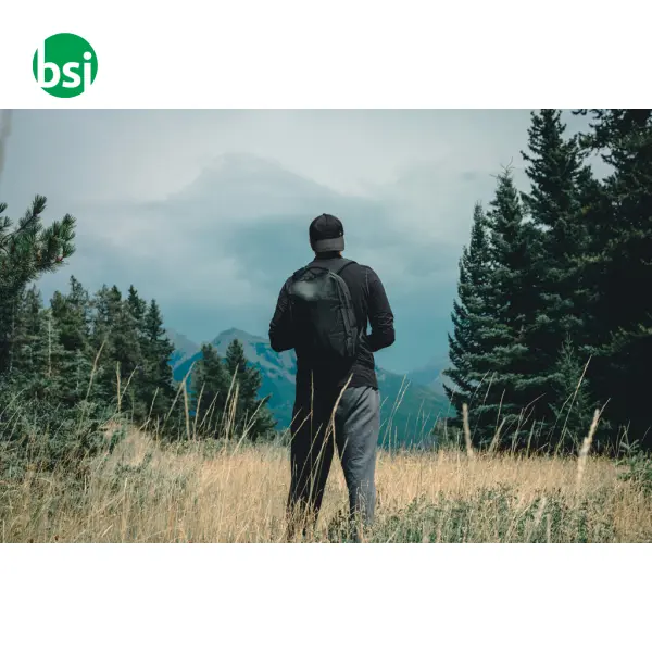 Swiss Peak AWARE RPET 15.6 inch day pack -  11