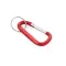 MATTHEW Carabiner clip - Anteprima 7