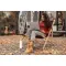 Sublimation aluminium bottle 500 ml - BILLY - Anteprima 6