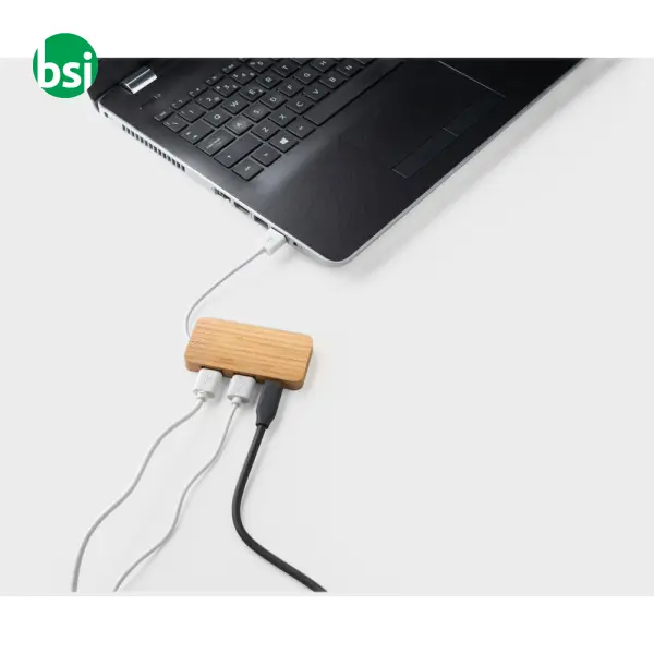 HUB with 2 USB-A and 1 USB-C ports - MOSER -  5
