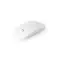 BLACKWELL 24G wireless mouse - Anteprima 6