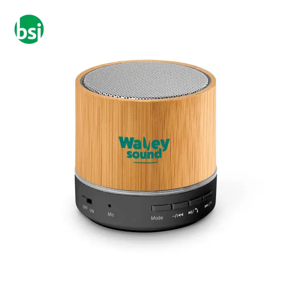3W portable speaker autonomy 4h30 - RE-GLASHOW -  3