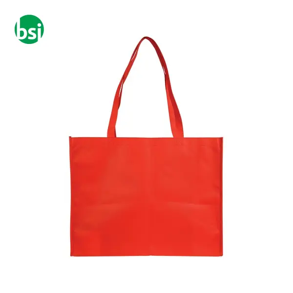 Shopping bag 50x40x12 | long handle | GLORIA -  10