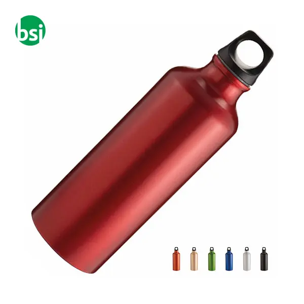 Water bottle 500 ml | matt metalized | aluminium -  1