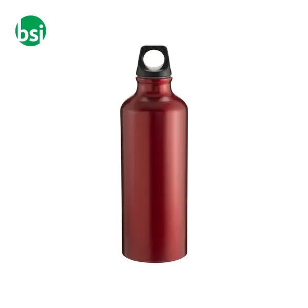 Water bottle 500 ml | matt metalized | aluminium -  7