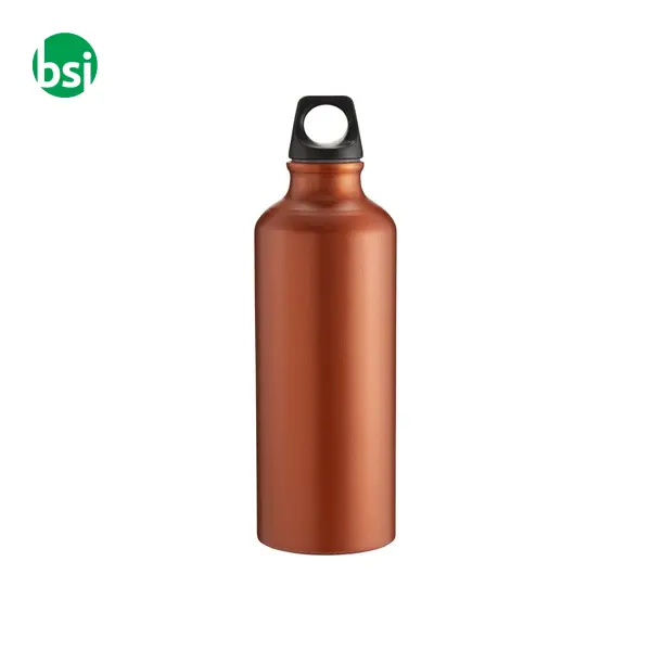 Water bottle 500 ml | matt metalized | aluminium -  6